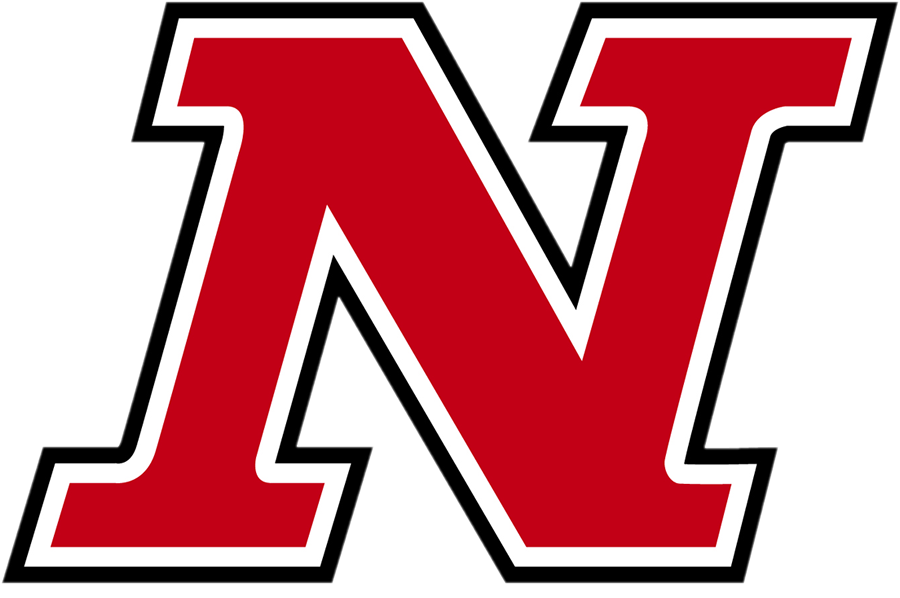 N Logo 1779287694674